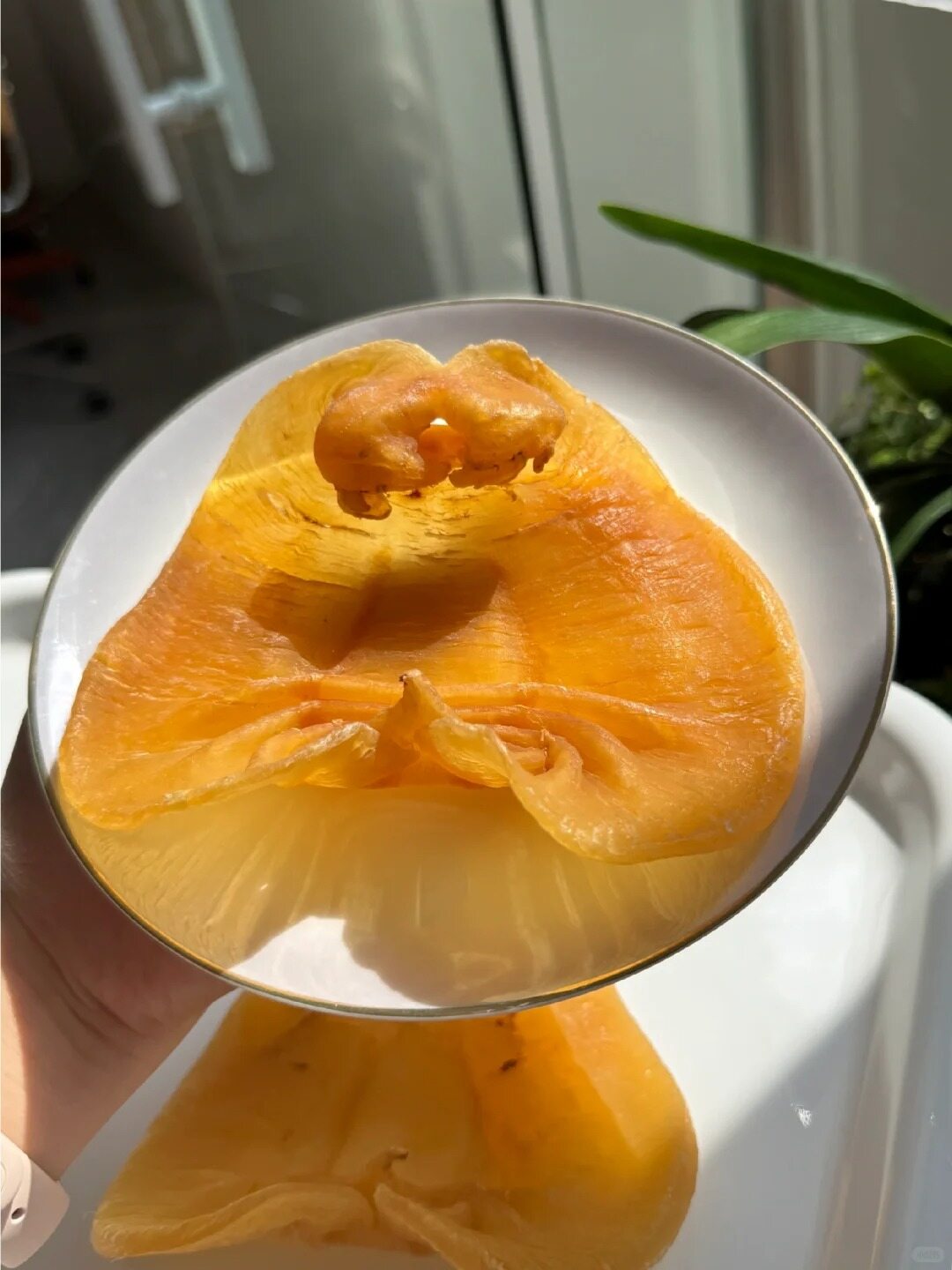进口鳕鱼，厚实饱满的营养鱼胶