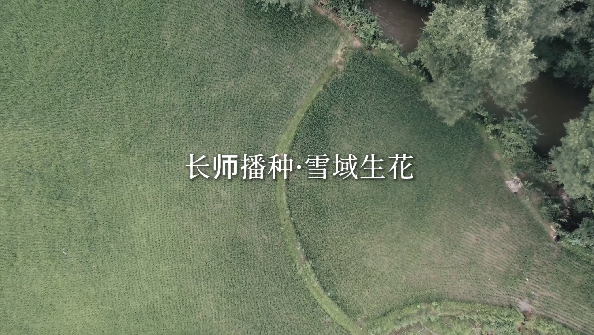 《长师播种 雪域生花》