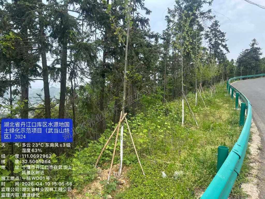 十堰市国土绿化监理