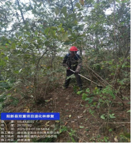 阳新县双重项目