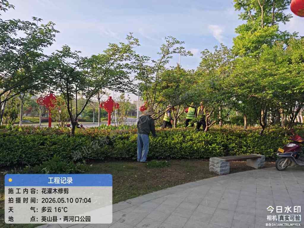 绿化工程