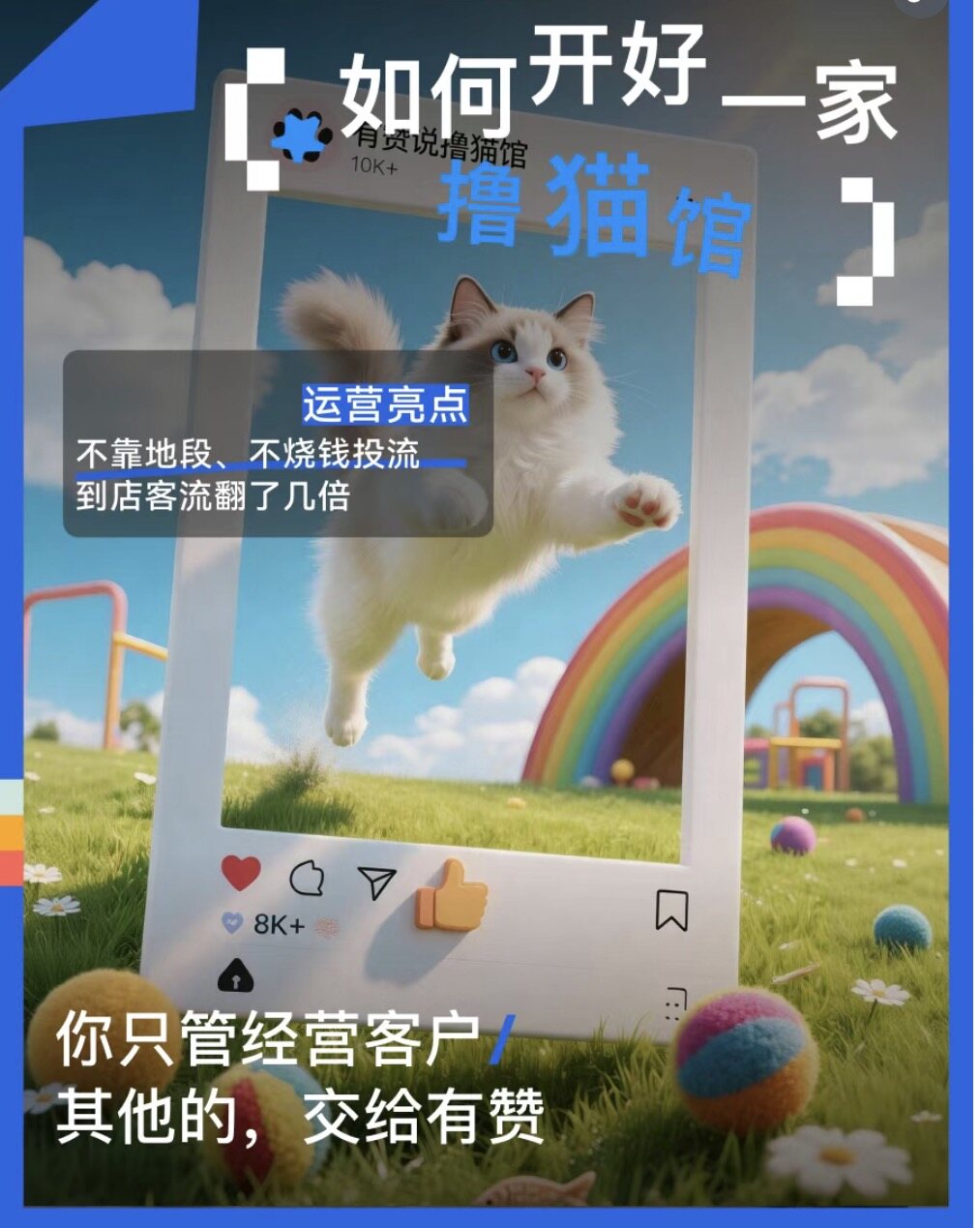 有赞西安营销与服务中心：做好小红书内容后，这家猫舍把「一次性客人」变成了回头客