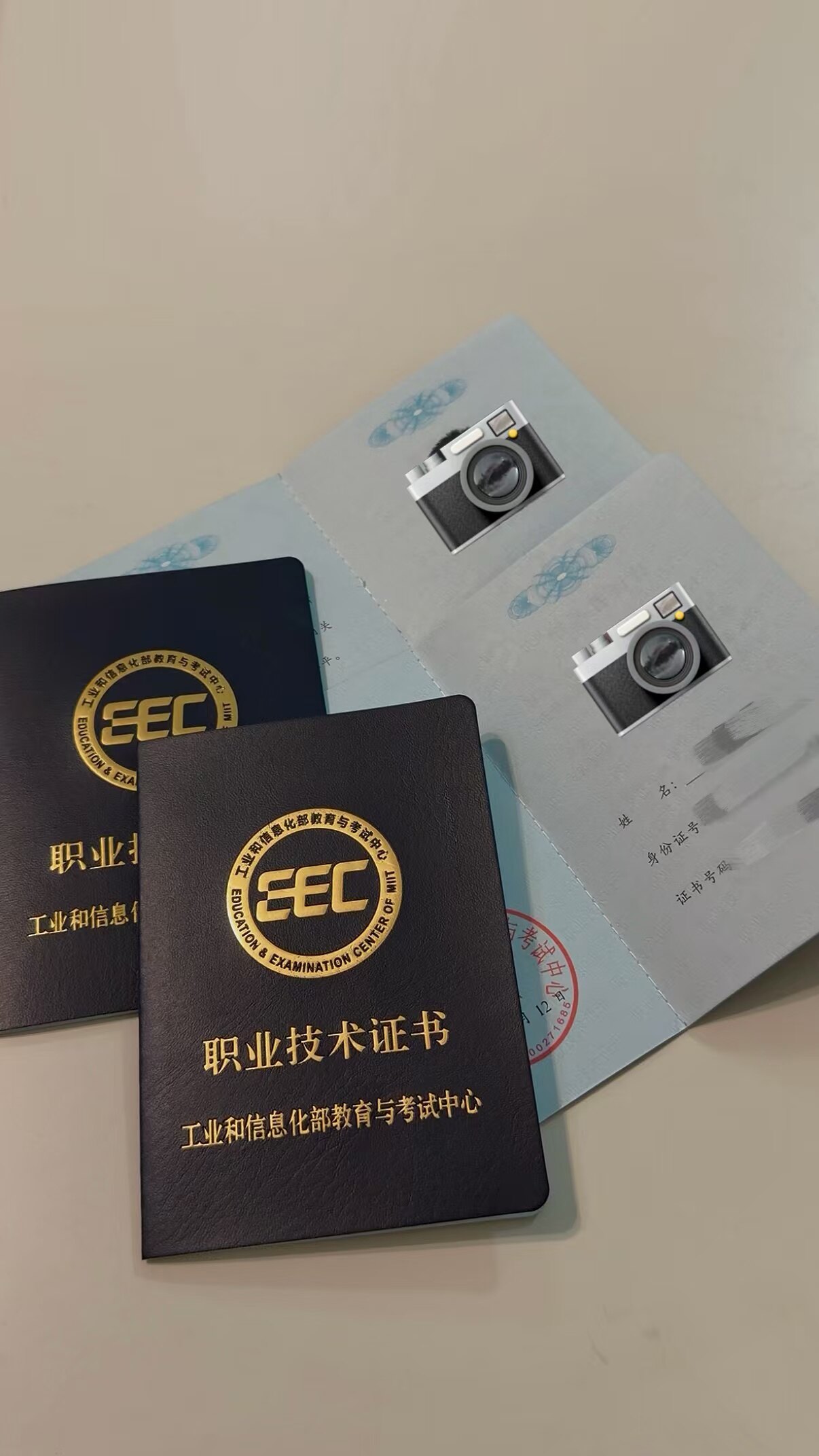 Display of Multiple Vocational and Technical Certificates