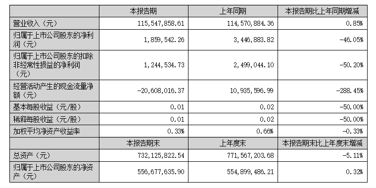 2025 Half-Year Key Financial Data