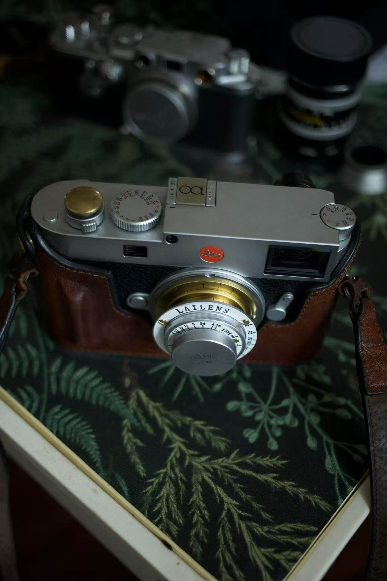 LAILENS 35mm f/3.5 Real-World Shots – Paired with Leica M8, Greenery Background