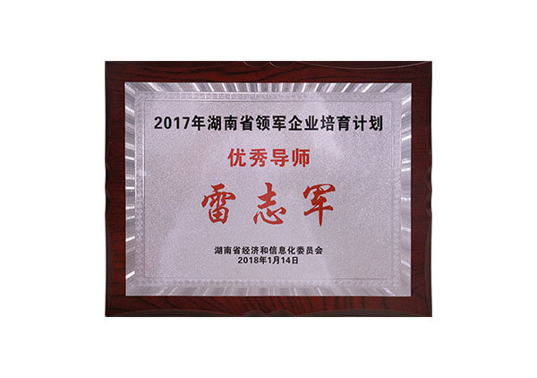 2017湖南省领军企业培育计划优秀导师