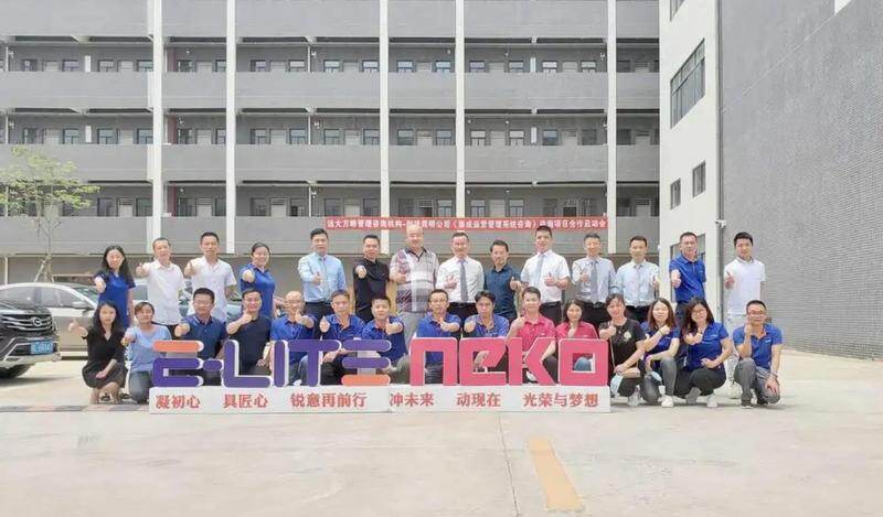 耐锐照明 集成运营