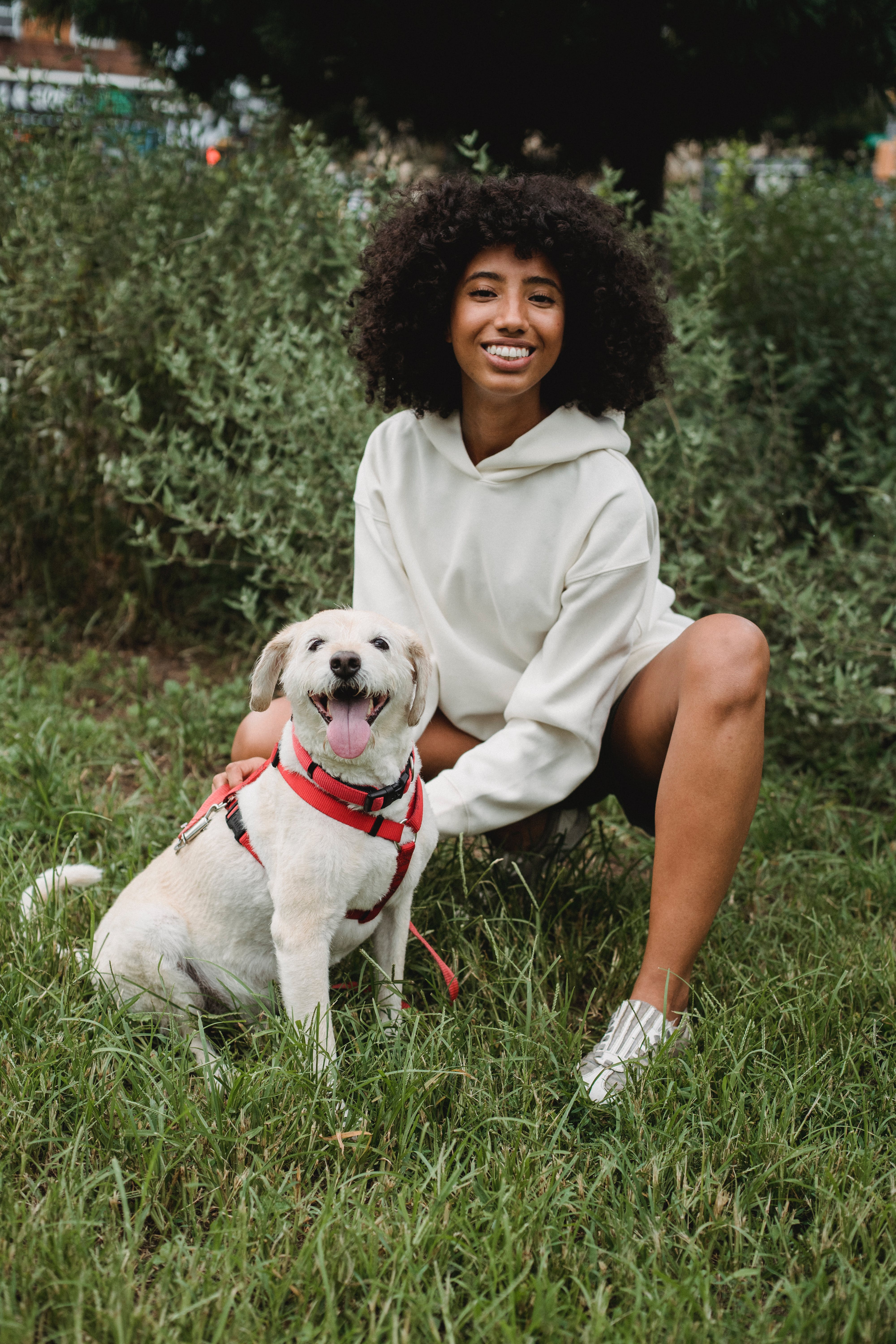 Pet Moments