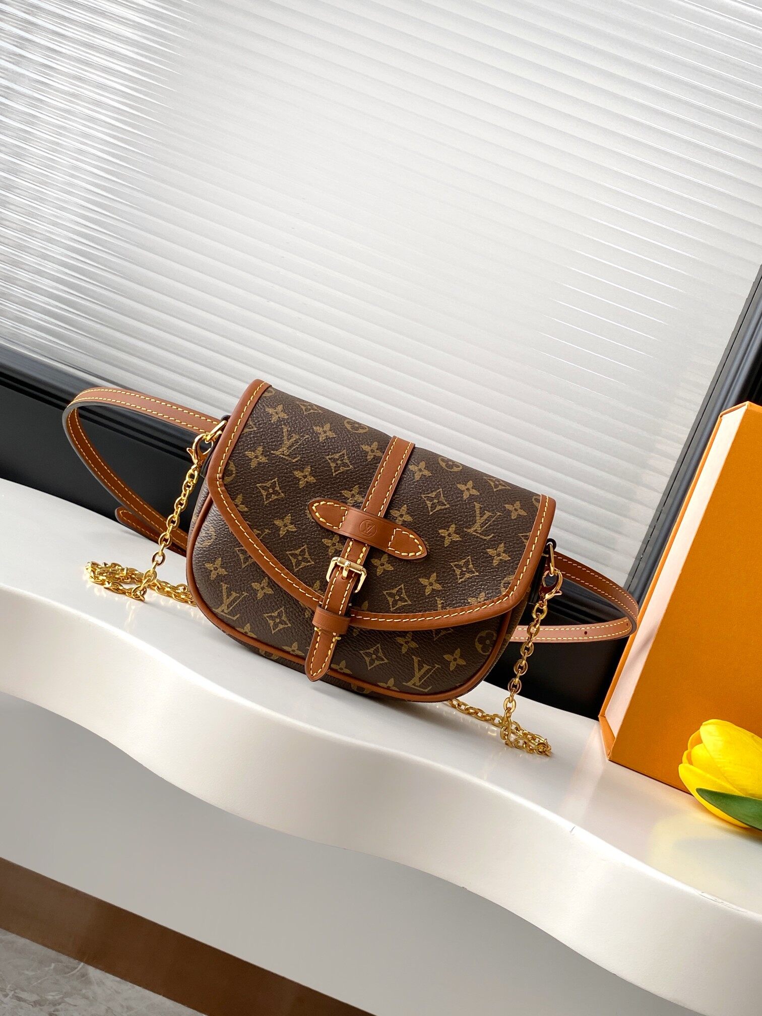 Louis Vuitton Louis Vuitton Monogram Saddle Shoulder Crossbody Bag