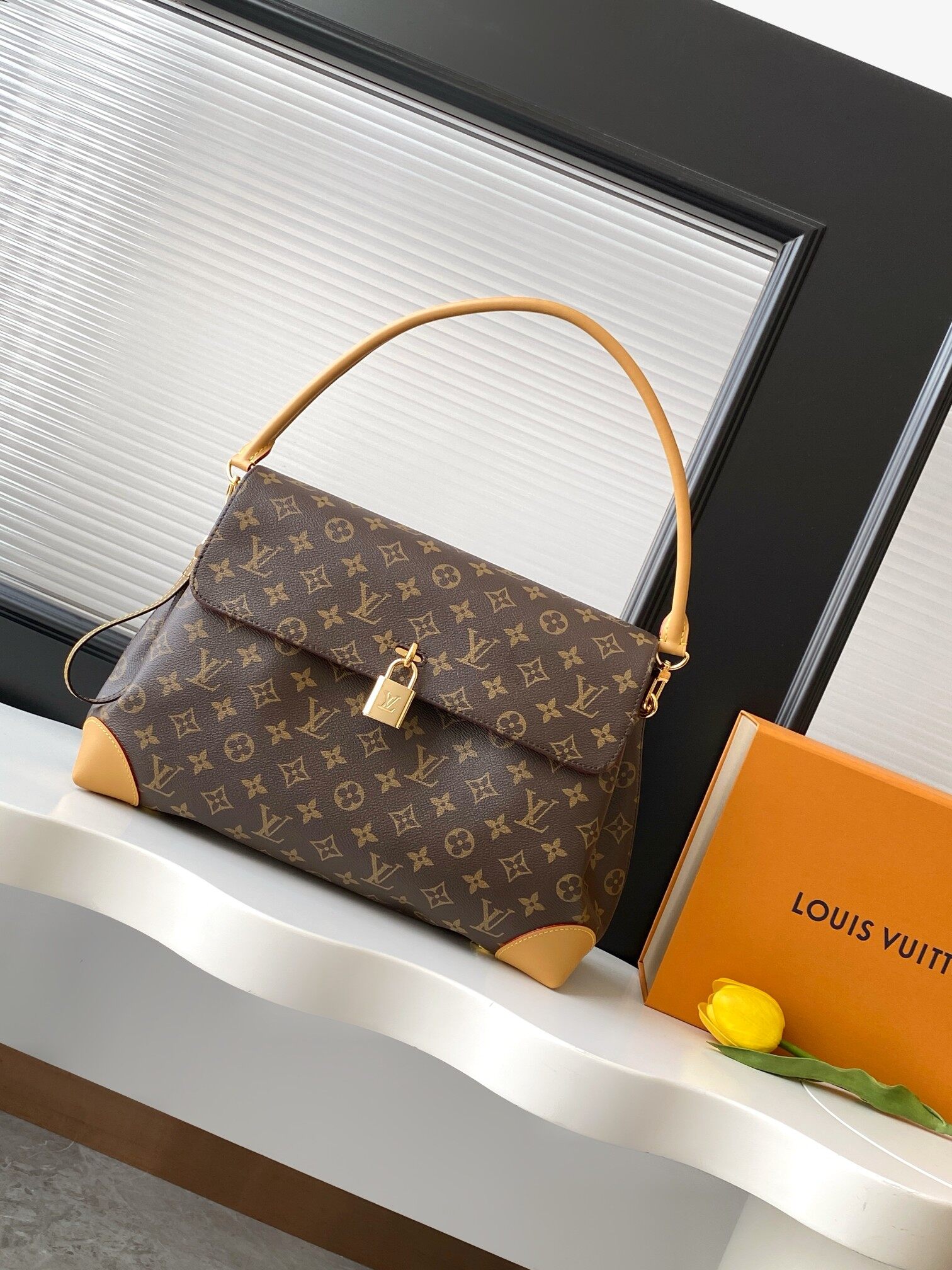 Louis Vuitton Louis Vuitton Hide Away MM M14473 Monogram Shoulder Crossbody Handbag