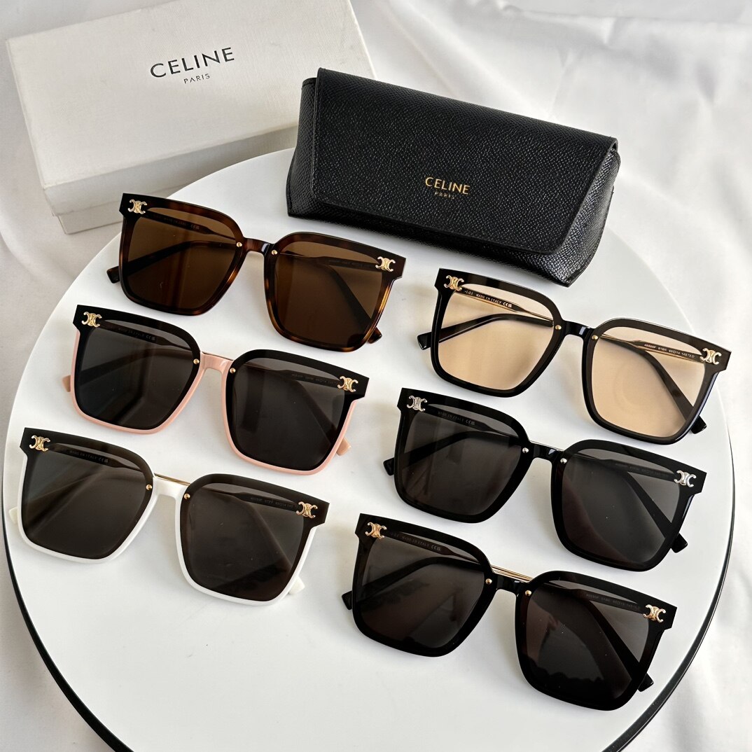 Celine Celine Triomphe Metal Logo Oversized Square Acetate Sunglasses