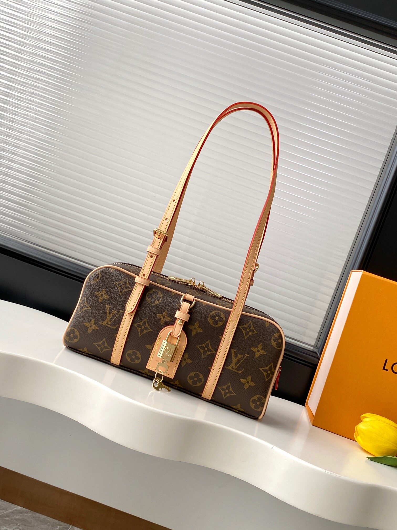 Louis Vuitton Louis Vuitton Monogram Papillon Mini Shoulder Bag