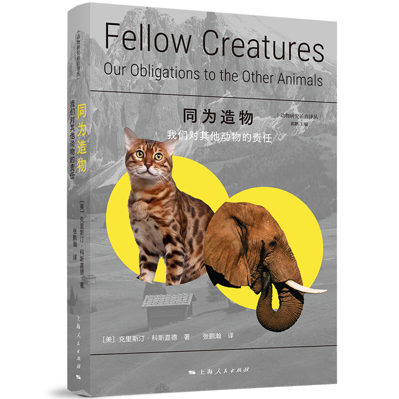 宠物经济成新风口，动物的陪伴对人类意味着什么