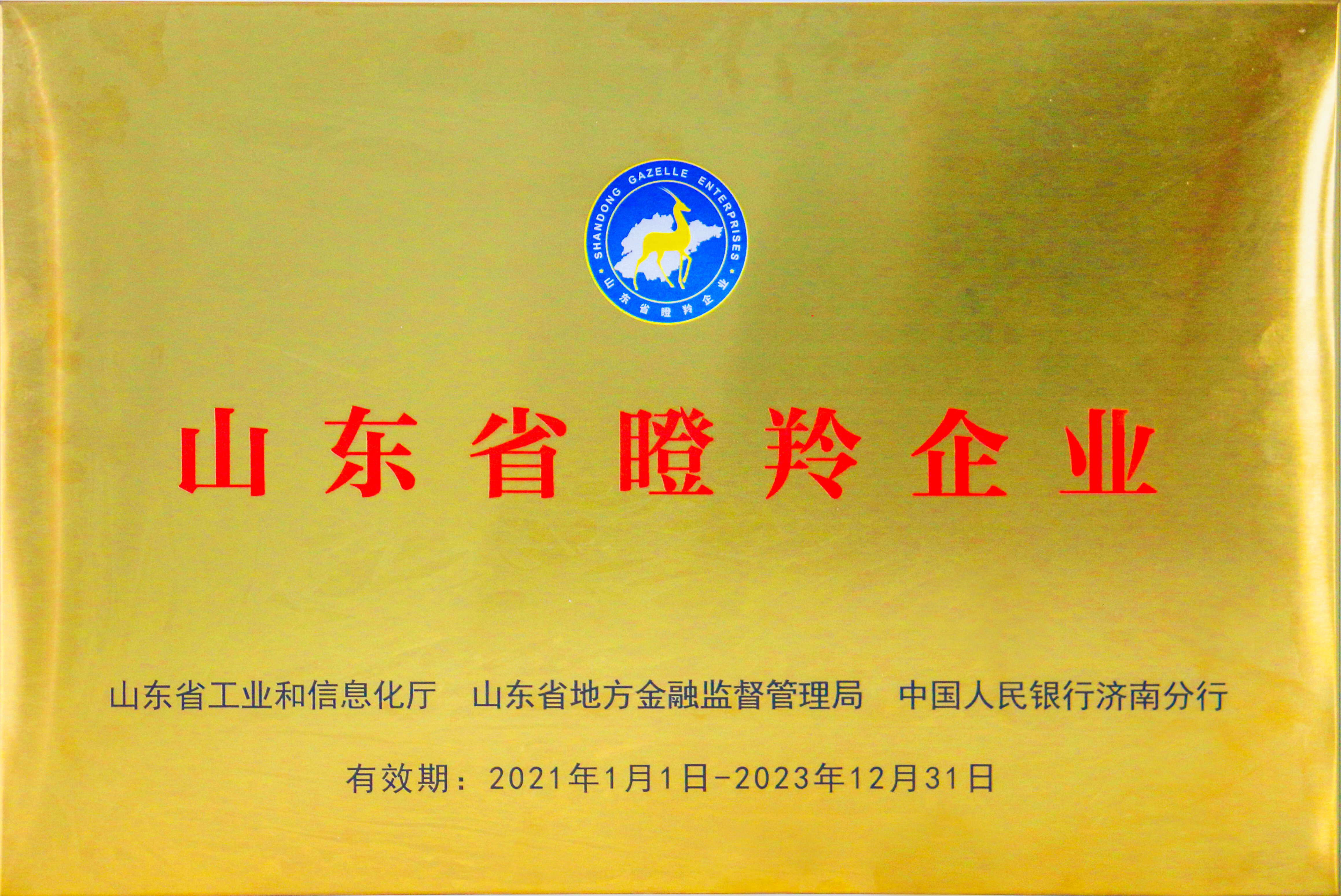 Shandong Gazelle Enterprise