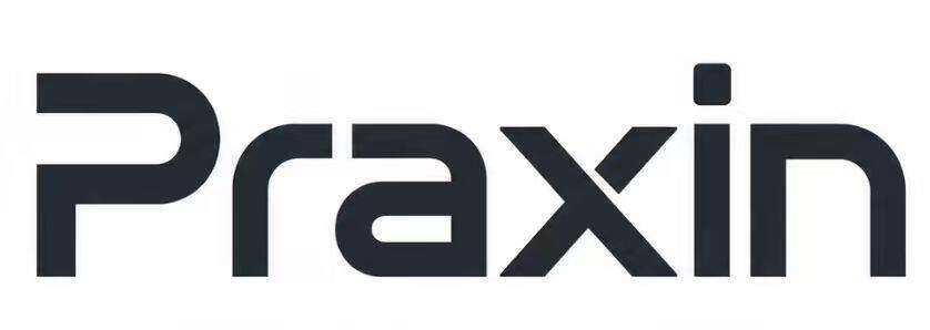 Praxin Logo