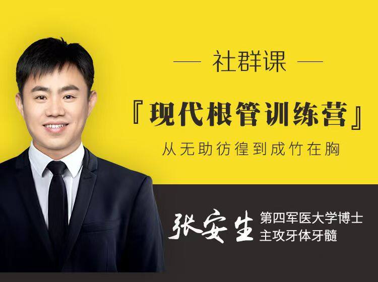现代根管训练营