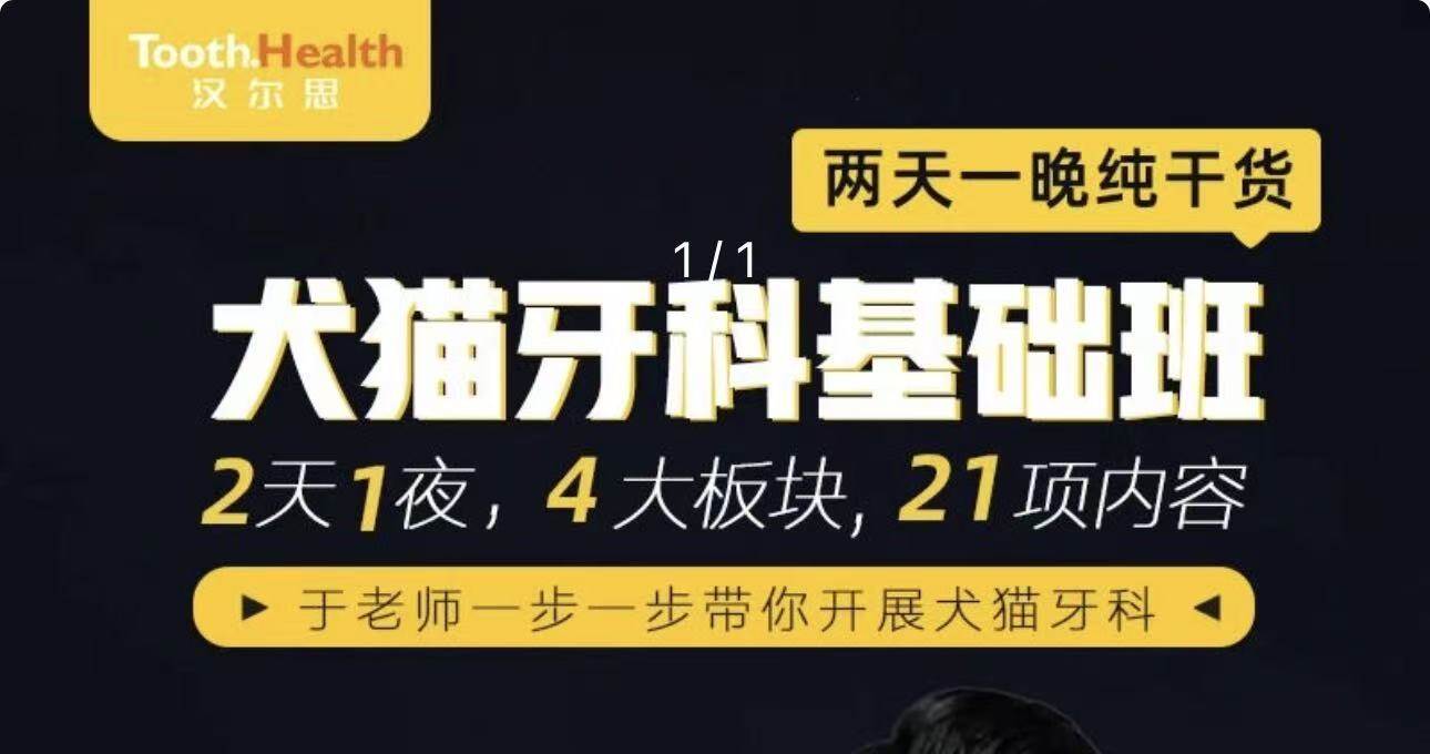 犬猫牙科进阶班