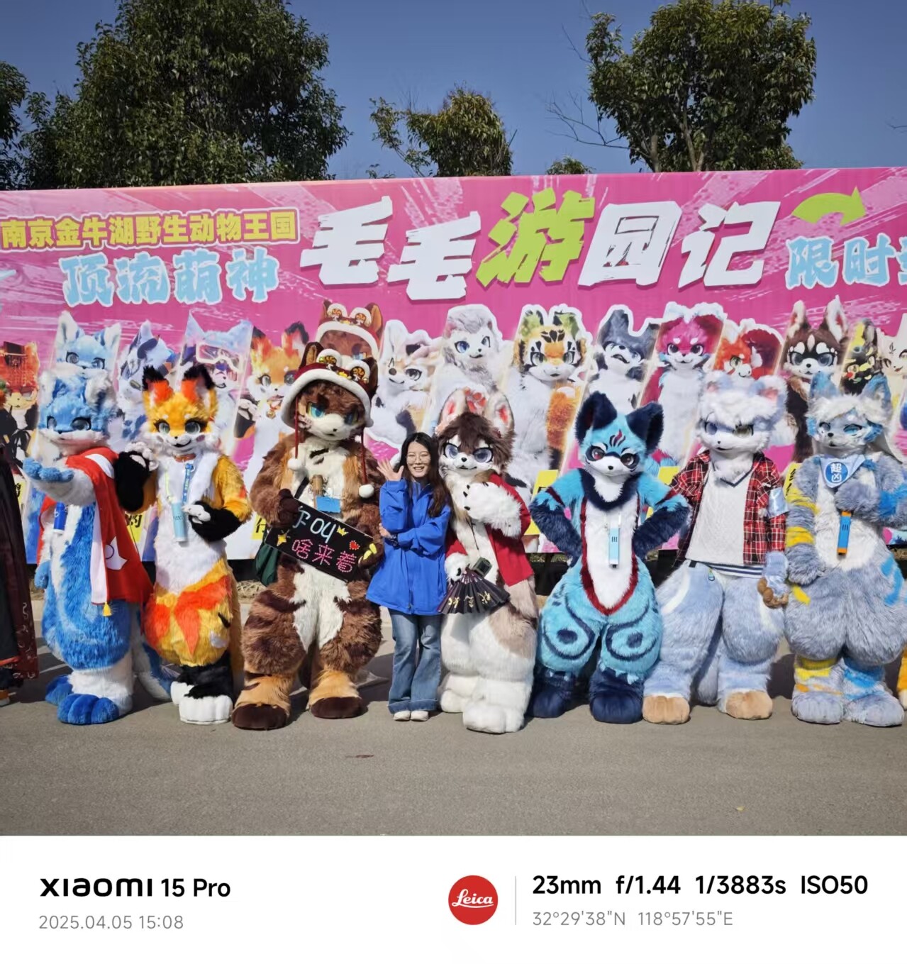户外活动兽聚