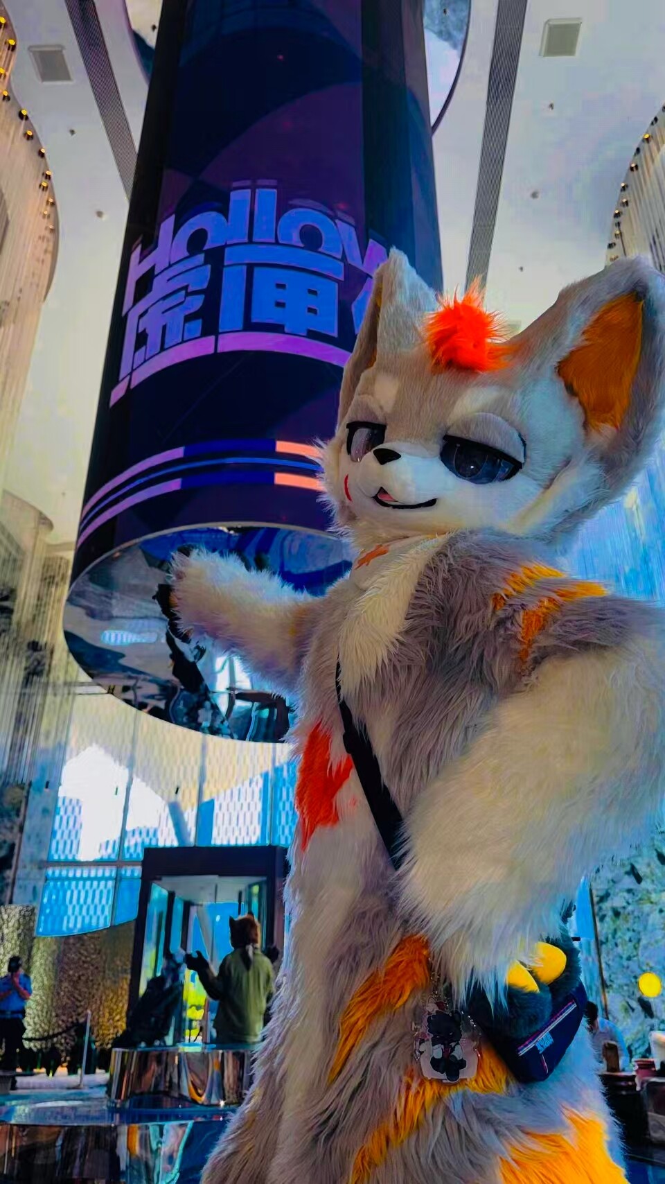 成员返图