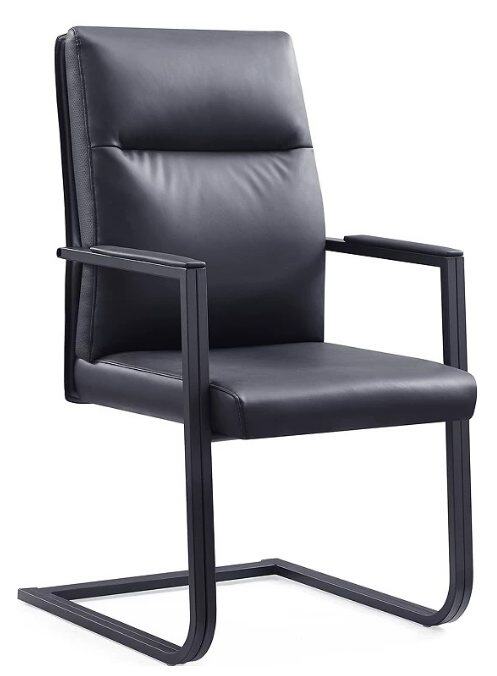 Y-29 Conference Chair