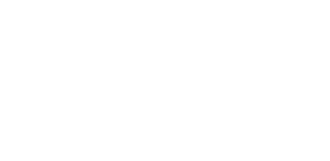 YSTC Logo