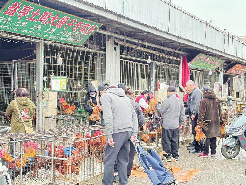禽产品安全风波后市场回稳，采购端加强检验要求