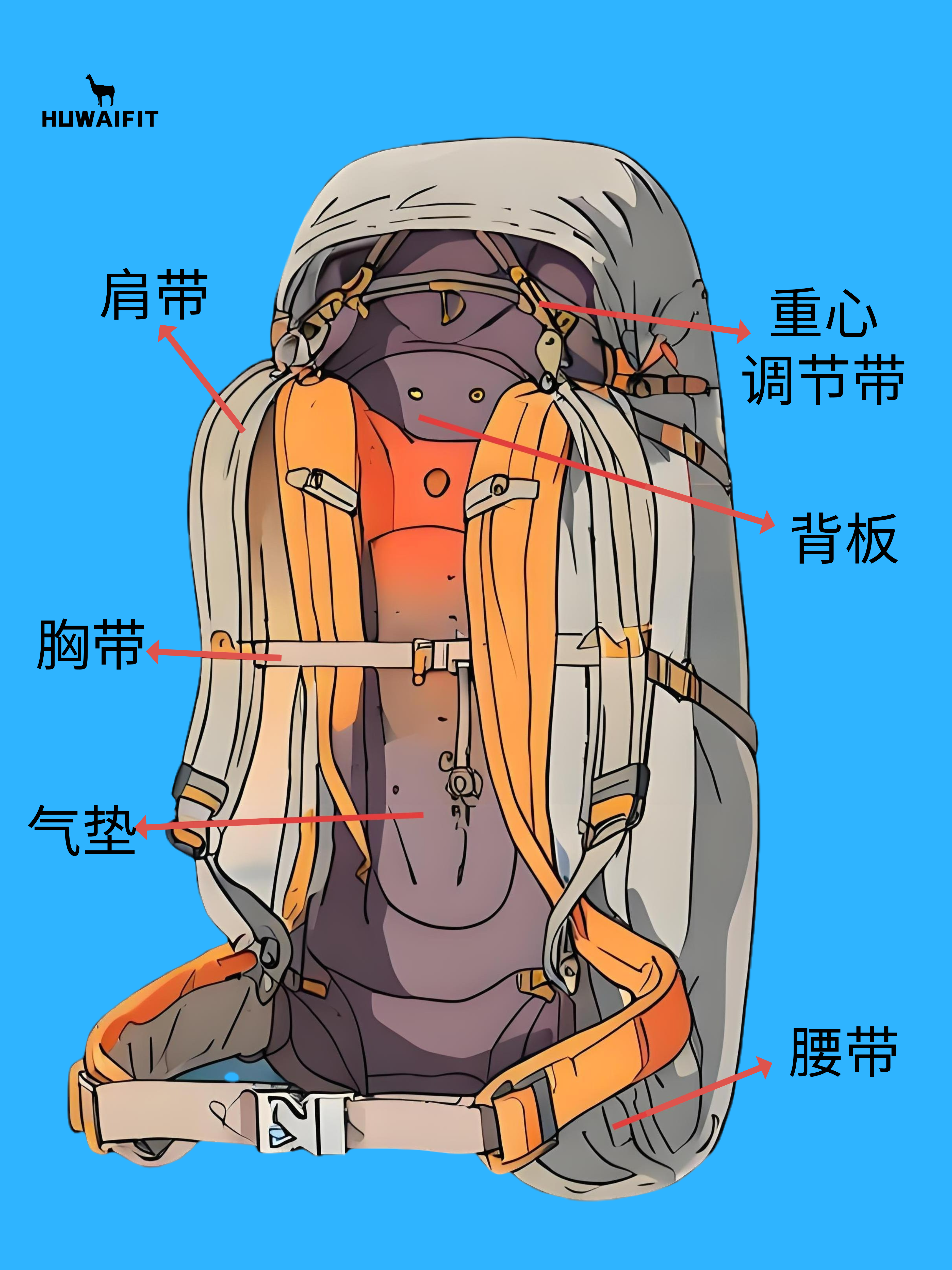 什么是登山背包的背负系统？它由哪些组成？