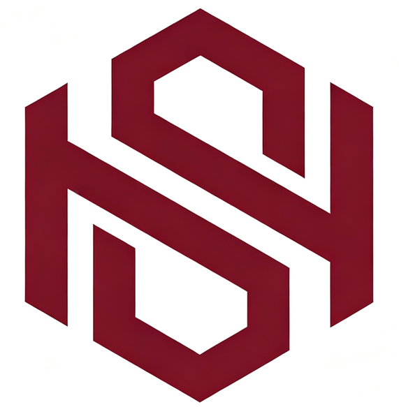 书濠控股 Logo