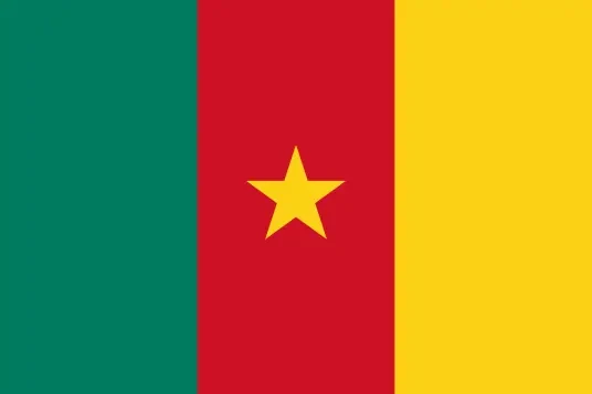 Embassy of Cameroon in China