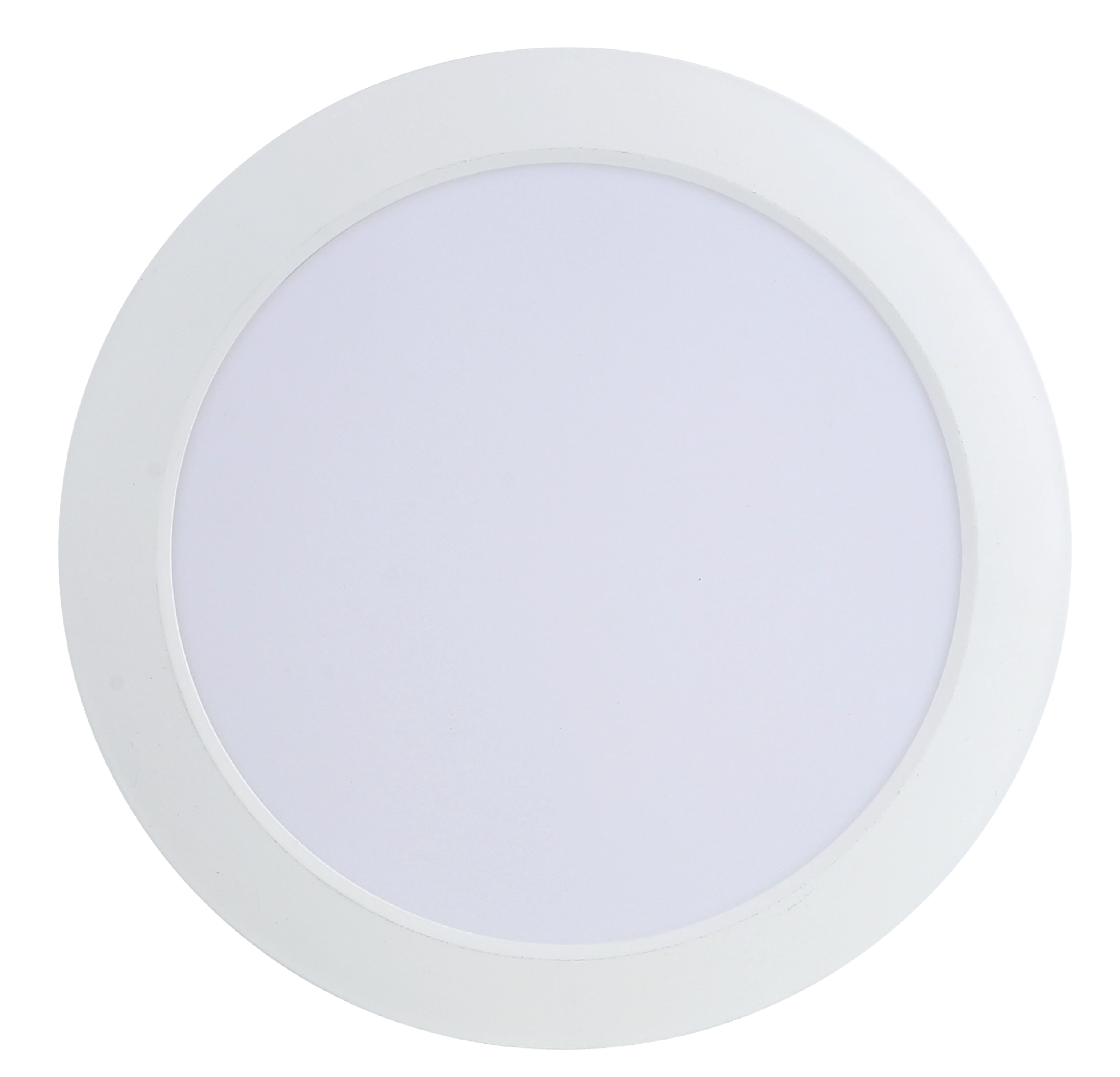 LED DOWNLIGHT Single color