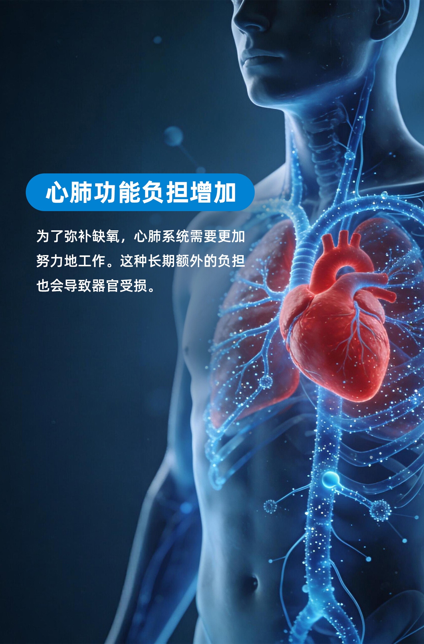 商品详情 7