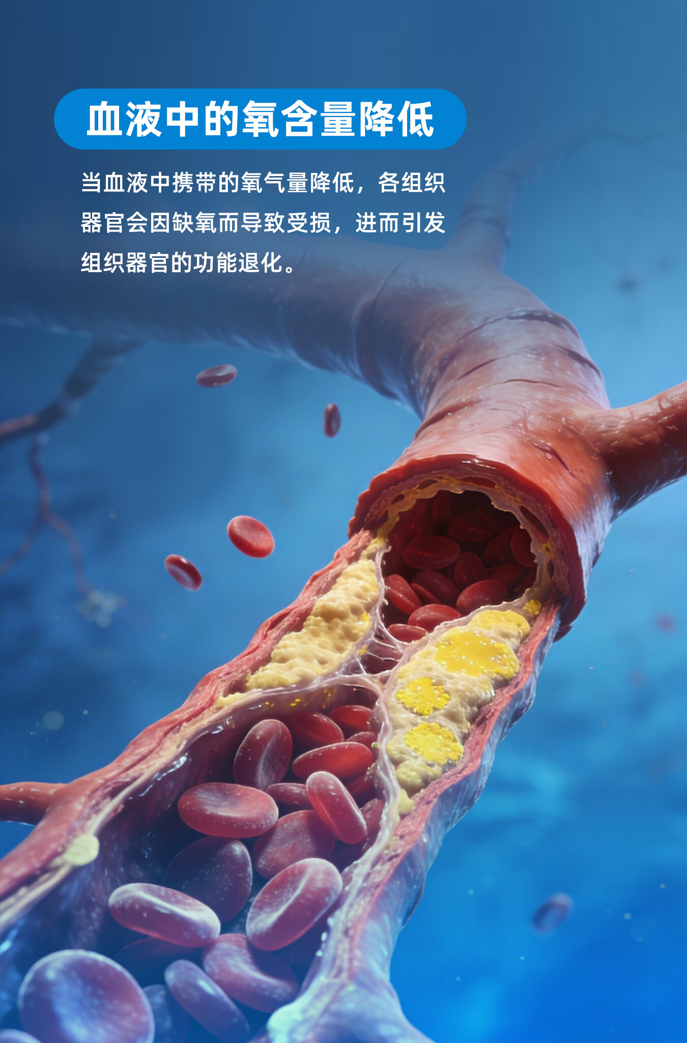 商品详情 5