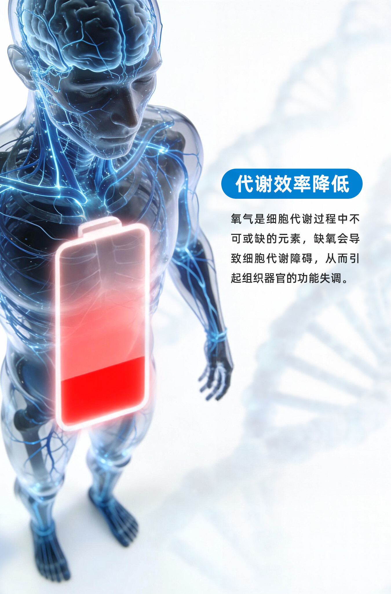 商品详情 6