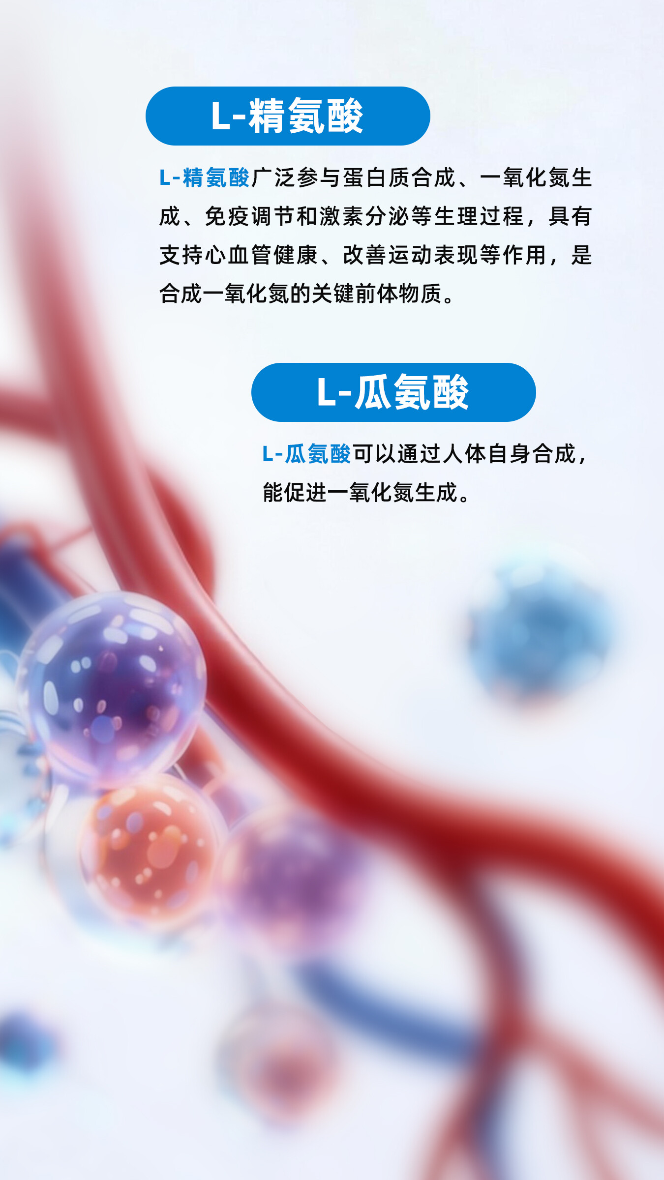 商品详情 4