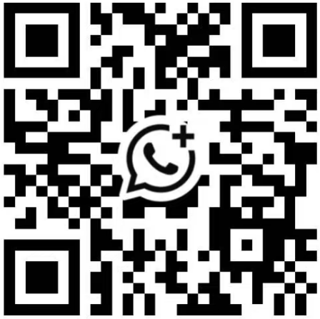 WhatsApp QR Code
