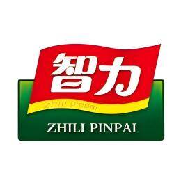 智力