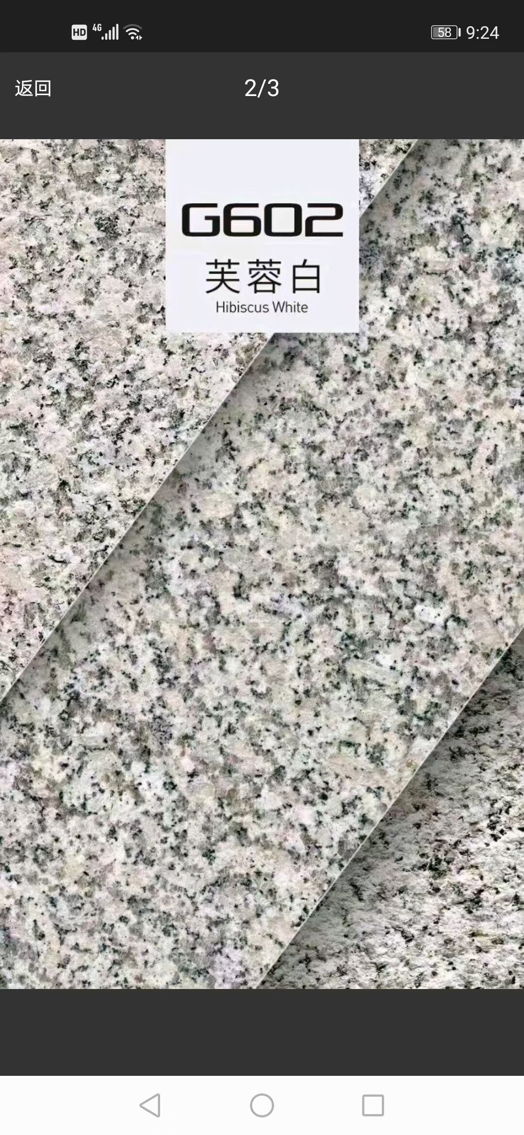 G602 Big‑Grain Sesame White Granite