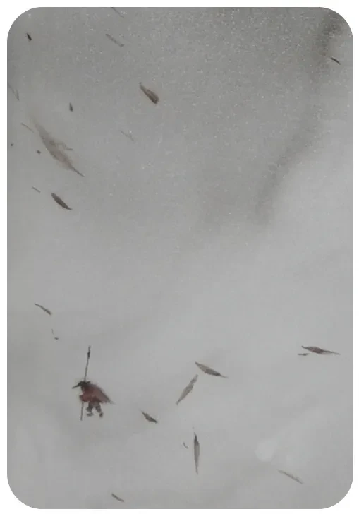 Su Dongpo: "Ding Feng Bo" · "Watching the Tide" 3