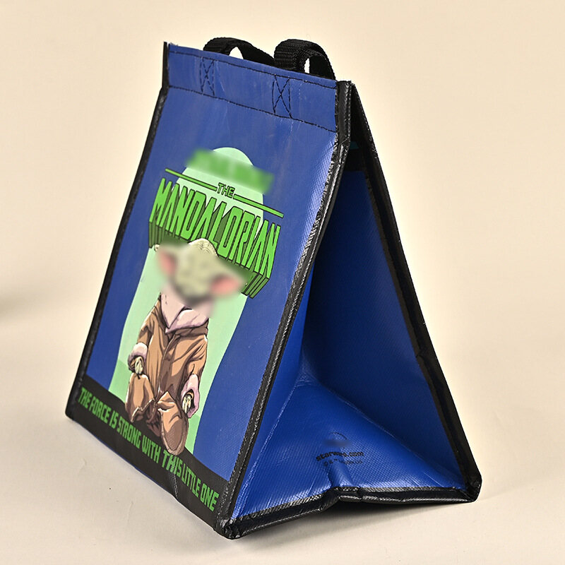 Foldable Collapsible Picnic Thermal Cooler Bag view 2