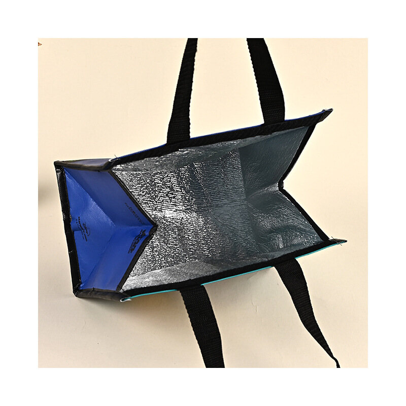 Foldable Collapsible Picnic Thermal Cooler Bag view 4