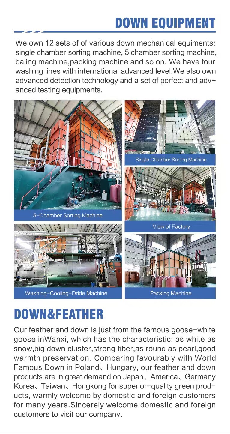 Down Processing Equipment