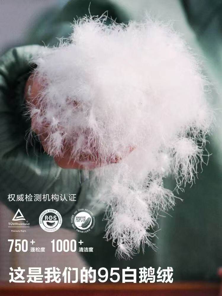 Raw Down Materials