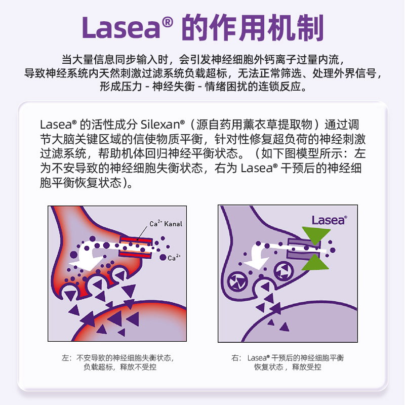 Product Detail Image 3