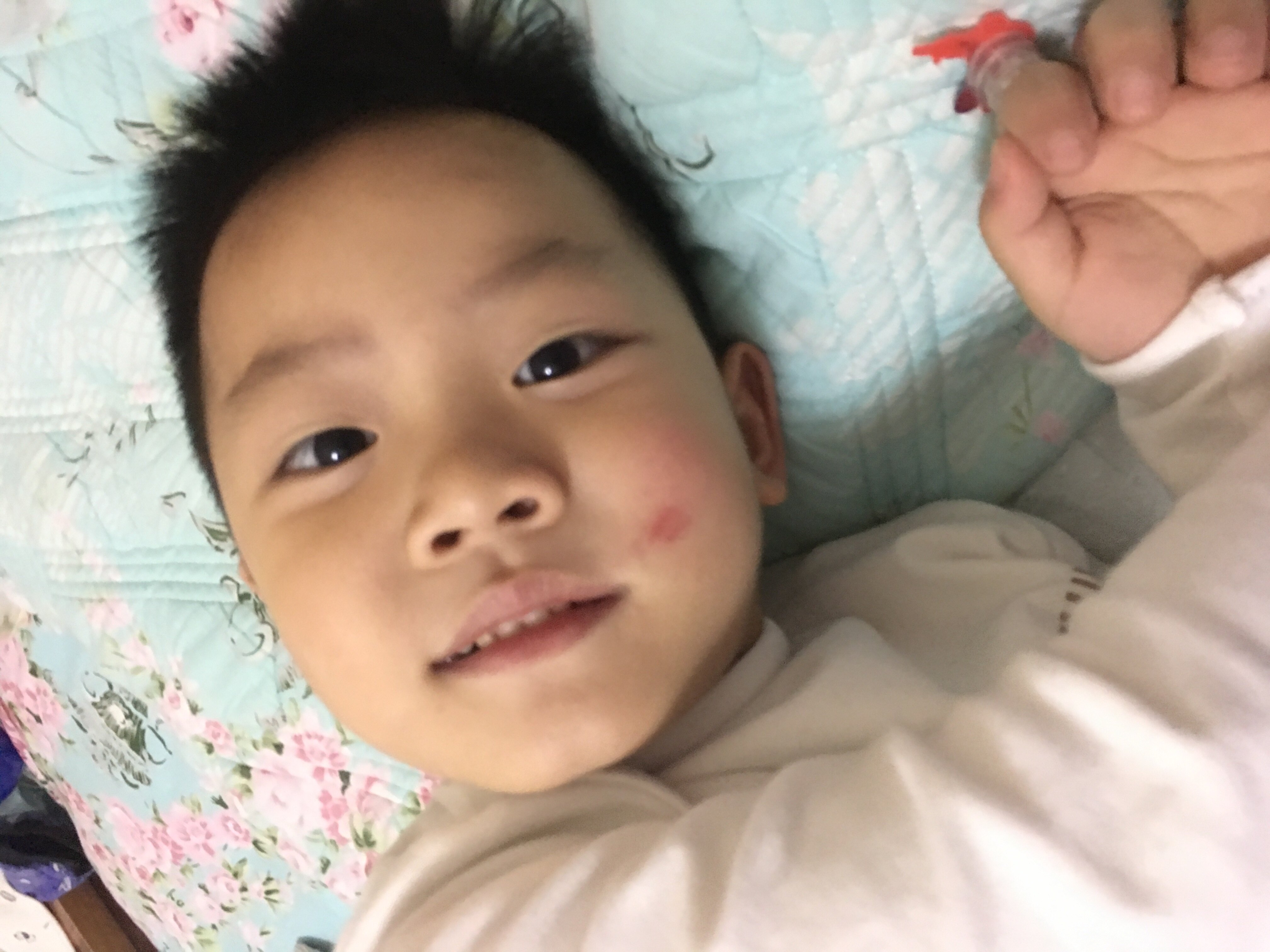 小小成长记