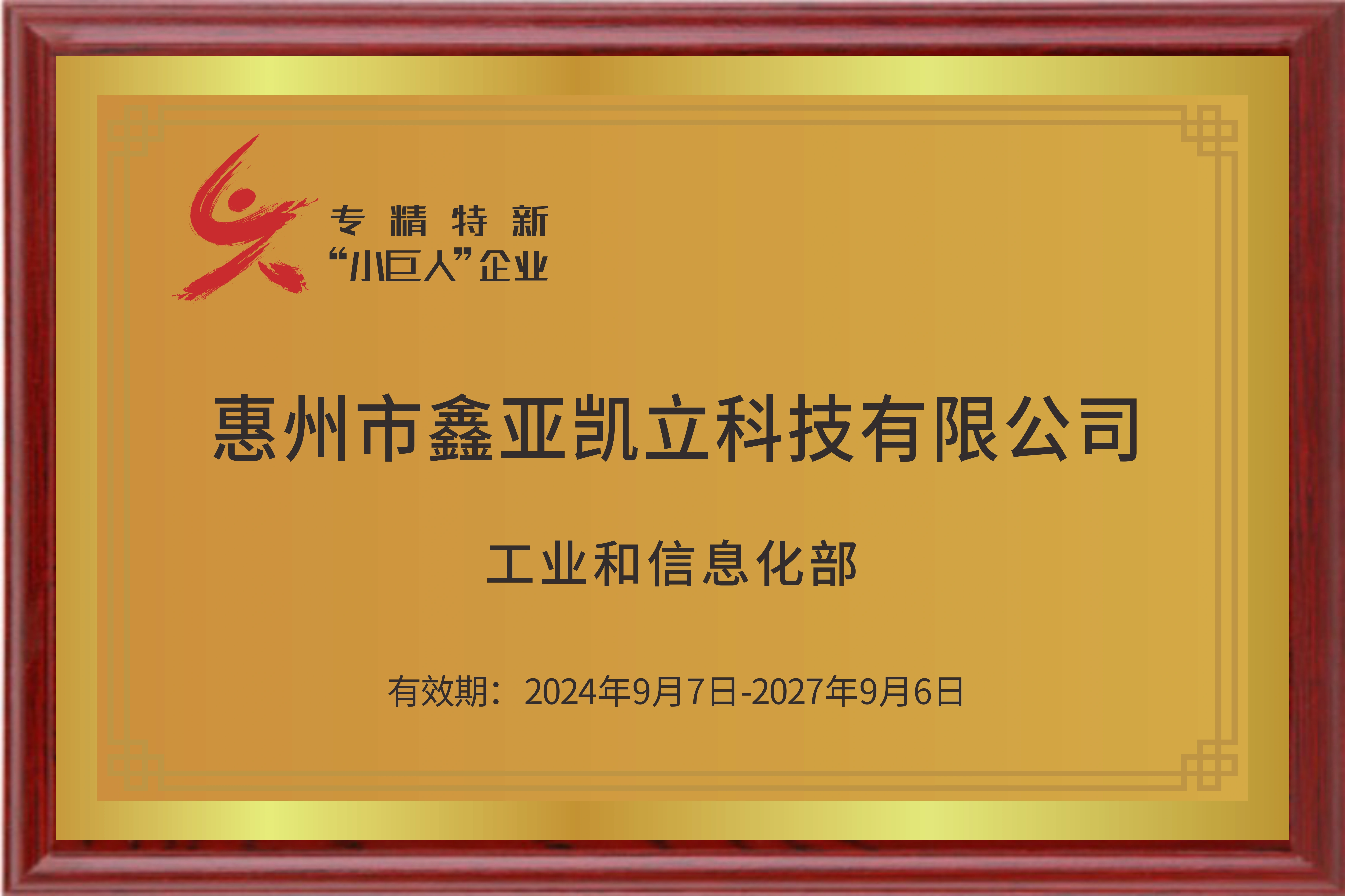 Company Awarded National Specialized & Innovative 'Little Giant' Enterprise