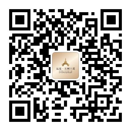WeChat Channels QR Code