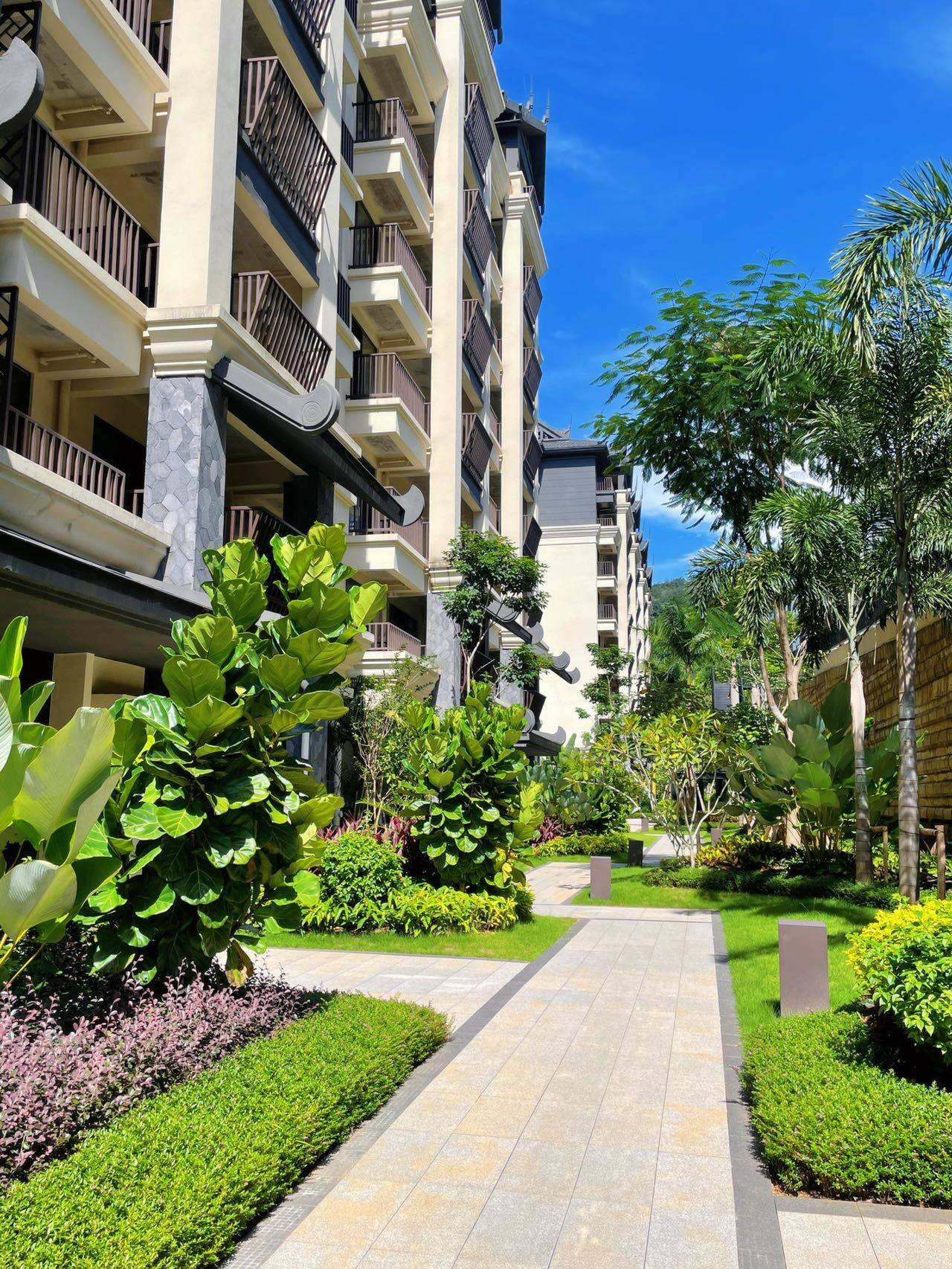Policy incentives continue to unlock value, making ready-to-move-in homes in Jinghong the top choice for upgrades in Xishuangbanna.
