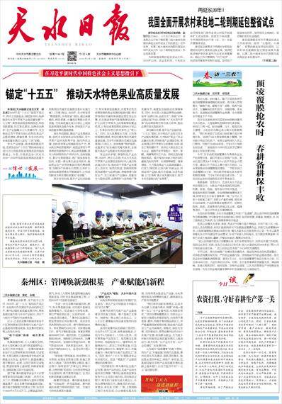 天水日报（理论版）期刊封面