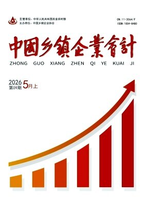 中国乡镇企业会计期刊封面