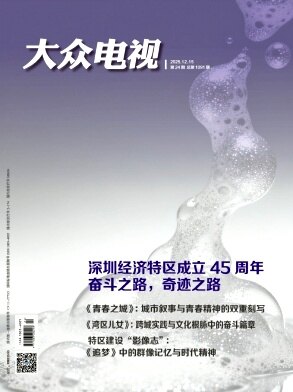 大众电视期刊封面